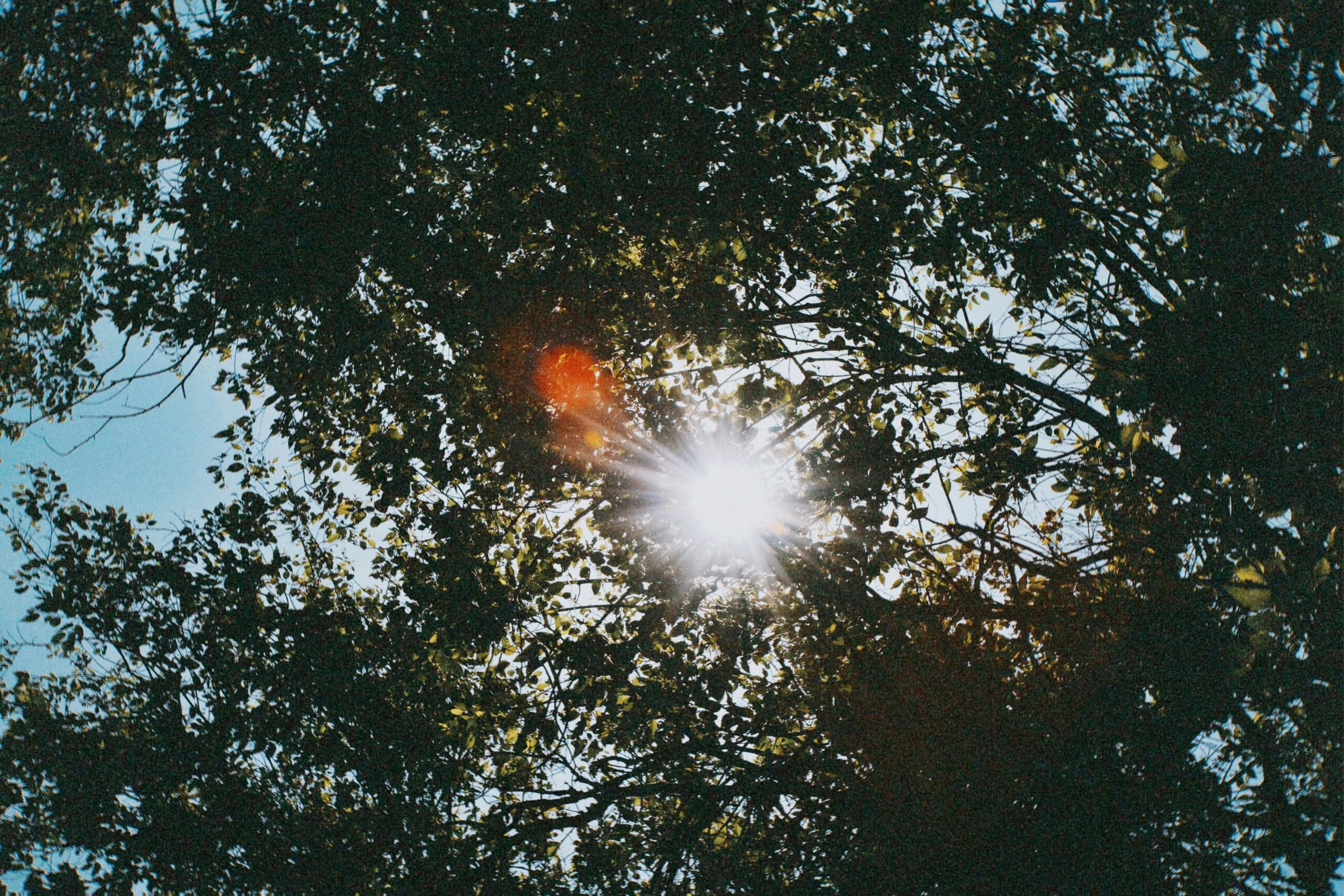 Yoga to Celebrate the Summer Solstice: Shine Your Inner Light